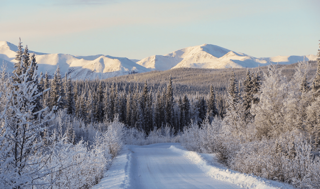 Aurora Borealis & Arctic Cheer: A Whitehorse Holiday